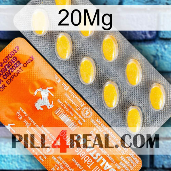 20Mg new05.jpg